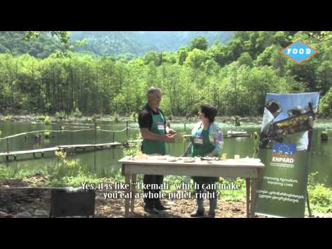 კოოპერატივი \"ქულბაქი\"  კულინარიულ შოუში \"ძლიერი სოფელი\"