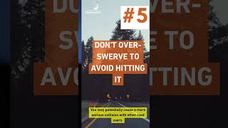 Deer Rutting Season Safety Tips
🦌 Autumn is deer rutting season and we’re reminding all road users to take extra care at this time of the year. We’ve provided some safety tips to help avoid collisions and keep you safe. Deer Rutting Season Safety Tips