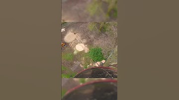 Ash chogging, peep a new chainsaw trouser dropping soon 👀 #arborist #arbortec #treework #chainsaw w