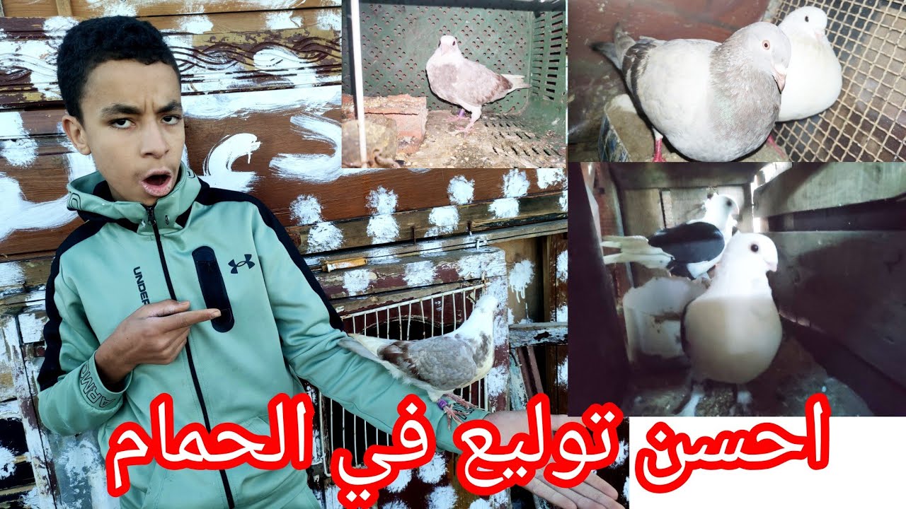 احسن توليع في الحمام 😱😯 او اجي نتولعو في الحمام في اول ايام رمضان مرحبا بكم جميعا 