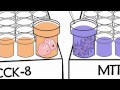 Dojindo cck8 assay vs mtt assay