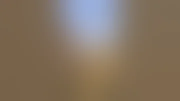 تزاوج الحمير شرمهاا 