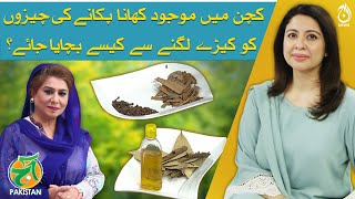 How to prevent kitchen items from attracting worms? - Kitchen Tips by Rani Aapa - Aaj Pakistan