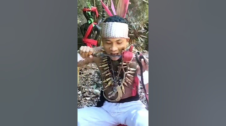 panglima'pajaji ungkap sejarah panglima dayak #shortsvidio #shorts
