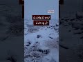 Ziarat Mountains Covered in Snow as Cold Wave Intensifies