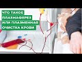 Что такое плазмаферез или плазменная очистка крови. Клиника Мирт г. Кострома