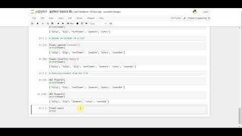 PYTH 16: Remove Last Element in the list in python