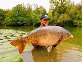 big french river carp