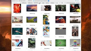 5 Steps to Recover Deleted Files on Mac OS X with Disk Drill