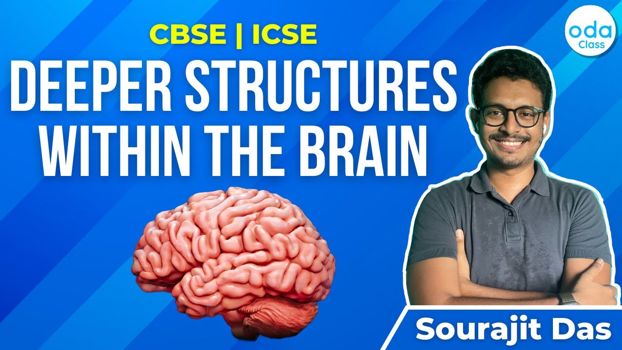 BRAIN PART - 2 | BIOLOGY | CBSE | ICSE | ODA CLASS | SOURAJIT SIR - YouTube