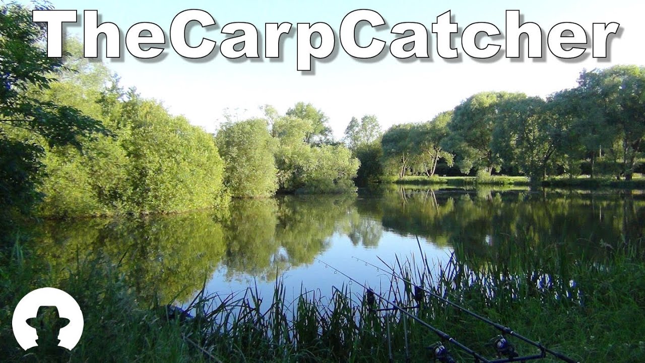 Linford Lakes Alder Part two Carp Fishing YouTube
