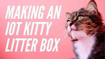 Building an IoT Kitty Litter Box | Twitch Live Coding