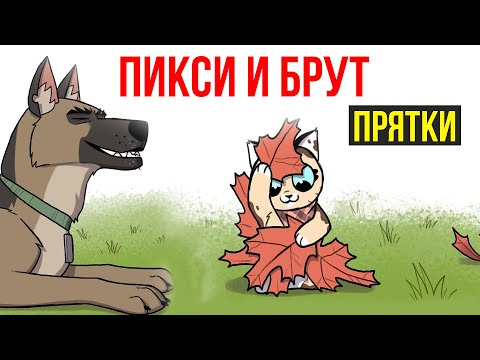 Пикси и Брут. ПРЯТКИ. Комиксы от #ХаХмачо #Комикс