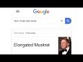 Answering google's most searched questions of 2019..