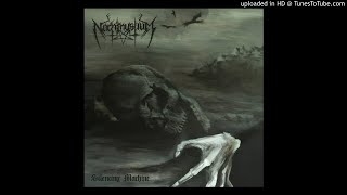 Nachtmystium - I Wait In Hell