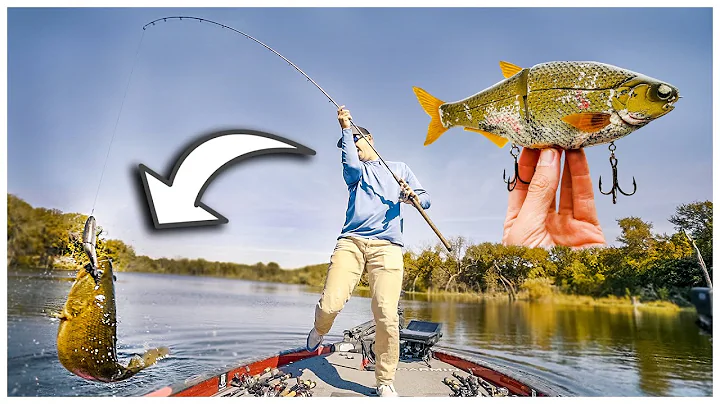 GIANT SWIMBAIT FISHING: A Masterclass by TRF