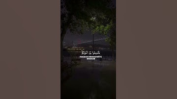 تلاوة هادئة سورة الحجرات 😴 #عبدالرحمن_ناجي #محمد_اللحيدان