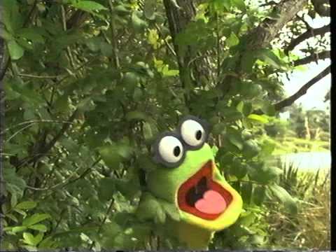 Opening To Bear In The Big Blue House Dance Party 2002 VHS