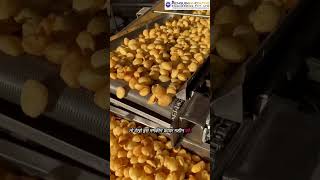 Namkeen Fryer Machine | Samosa Fryer Machine | Sev Fryer Machine#shortsfeed #ytshorts #trending