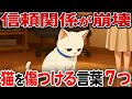 【NGワード】9割が知らない猫を傷つける言葉【猫雑学】
