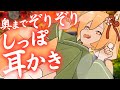【しっぽ耳かき】耳の一番奥。ゾクゾクが止まらない♡♡♡深いところをぞりぞり耳かきされちゃう！🦊💛【CV: #柏音よもぎ / ツキ #7】