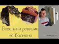 Улей в городе Пчелы  рулят.Экстремальное пчеловодство. Пересадили пчел при -14 гр.