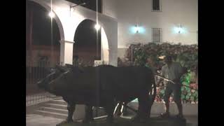 HUAYLLACHA /wayra /BERLY CAPIRA