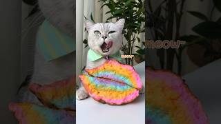 Rainbow Cake & Strawberry Liqueur🌈🍹: Perfect Dessert Combo! 🤩👌 #Catsofyoutube #Foodlover #Tiktok