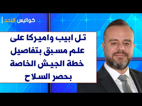 اديب عبد المسيح لصوت لبنان تل ابيب واميركا على علم مسبق بتفاصيل خطة الجيش الخاصة ب حصر السلاح