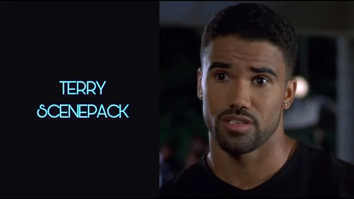 The Brothers: Terry Scenepack