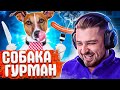 HARD PLAY СМОТРИТ ЛУЧШИЕ ПРИКОЛЫ / РЕАКЦИЯ ХАРД ПЛЕЙ СМЕШНЫЕ ВИДЕО, ТЕСТ НА ПСИХИКУ, ЮМОР, COUB