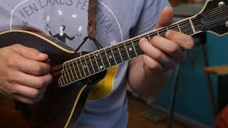 Video thumbnail of "Turkey In The Straw (Simple To Complex) - Mandolin Lesson"