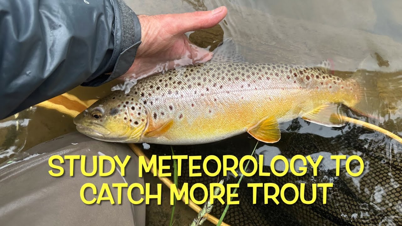 Chance of Rain Today - Study Meteorology to Catch More Trout 