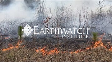 Climate Change: Time Is Running Out