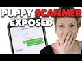 Puppy Scam Exposed! Here are the clues to look for! | Sweetie Pie Pets by Kelly Swift