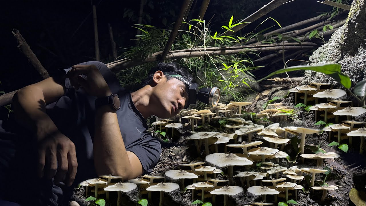 ลุยป่าเต็ง!หาเห็ดโคนดงใหญ่!เทือกเขาตะนาวศรี!ขึ้นเยอะมาก!