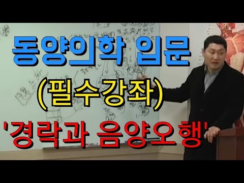 [심쌤의 건강교실] 동양의학 - 경락과 음양오행