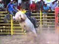 Monta chingona jaripeo estilo san luis victor garcia vs el fiscal de hierro jaripeo en el saucillo