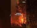 BULOS y FAKE NEWS: así es cómo la DERECHA difunde desinformación sobre los INCENDIOS