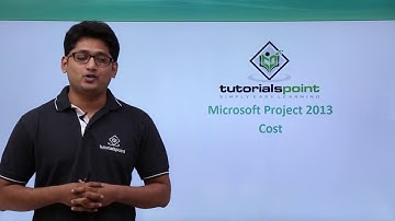 MS Project 2013 - Cost