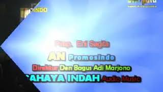 Sagita asolole