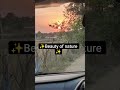 no caption...! #nature#viral shorts