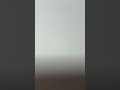 自分で気づいてない奴