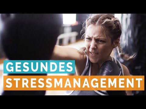 Gesundes Stressmanagement nach Lazarus Stressmodell