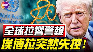 48小時確診翻3倍，埃博拉大爆發，中國最危險！25分鐘看完：美國最恐怖埃博拉事件！#真飛 #真觀點
