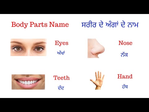 Body Parts Name in Punjabi : ਸਿੱਖੋ ਸਰੀਰ ਦੇ ਅੰਗਾਂ ਦੇ ਨਾਮ ਪੰਜਾਬੀ ਵਿੱਚ