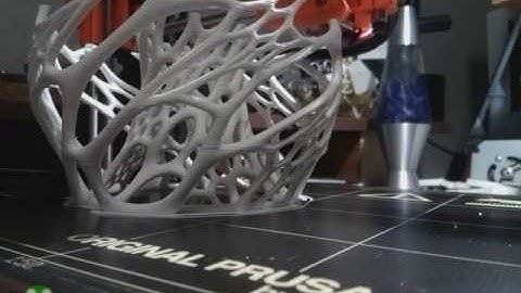 Cellular lamp time lapse