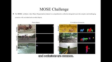 1st Place Solution for MOSE Track in CVPR 2024 PVUW Workshop