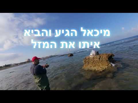 דייג 2026 יום שהתחיל עם הציבורשקה ואז כשמיכאל הגיע קיבל תפנית ונמשך בזירזור גומבר על גיג קולטיבה