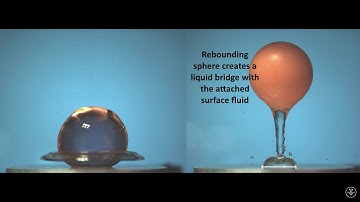 Viscoelasticity gives you wings!